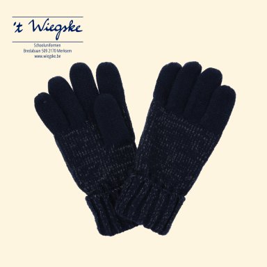 RKG047 Luminocity Glove
